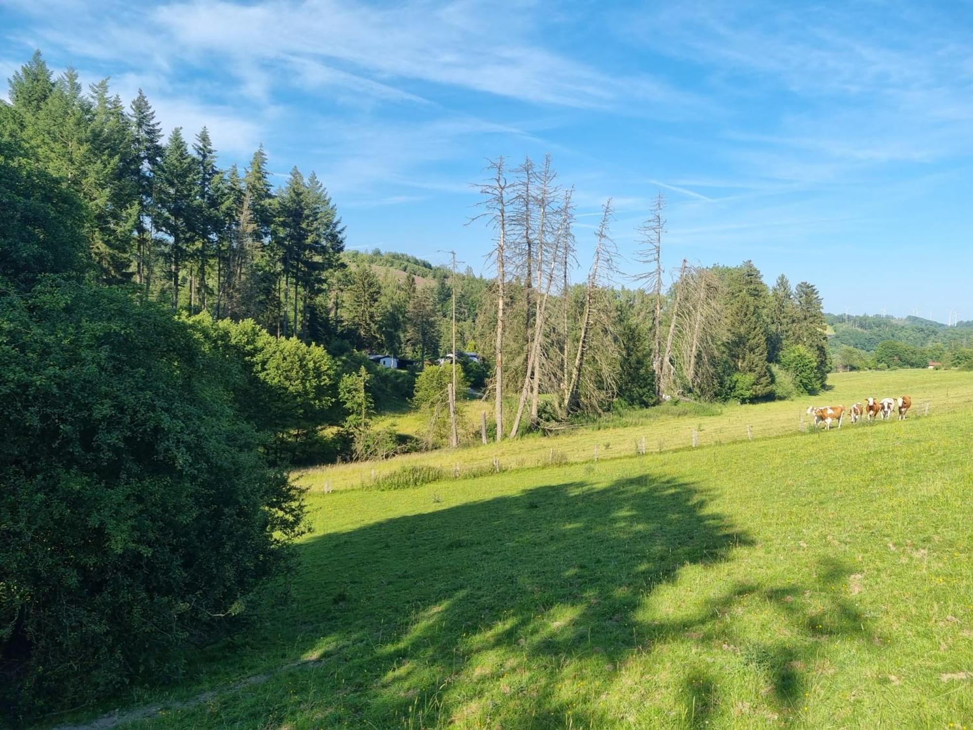 Explorer'S Lodge & Camping Helminghausen Buitenkant foto